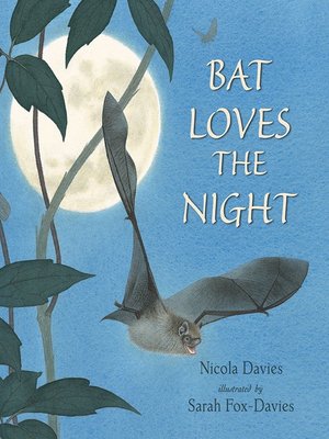 cover image of Bat Loves the Night